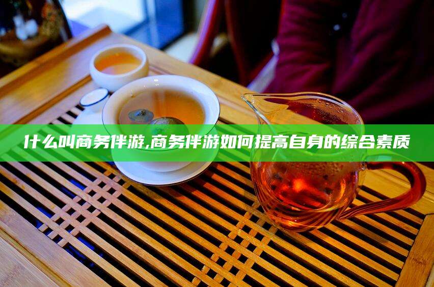 南阳什么叫商务伴游,商务伴游如何提高自身的综合素质